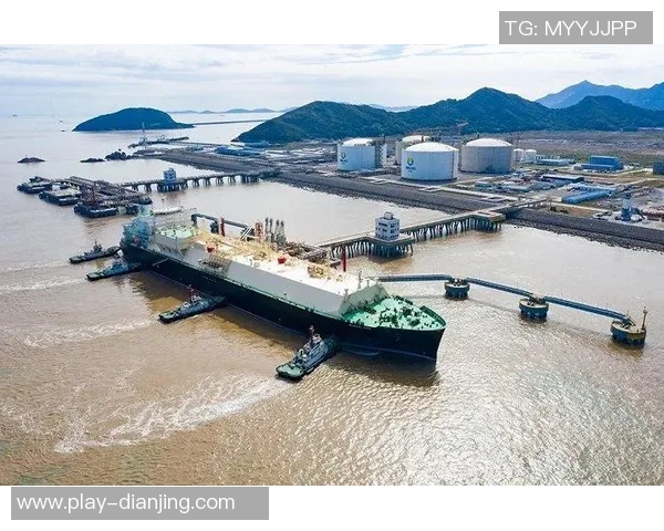 LNG战队运营策略分析与成败经验总结探讨实时数据